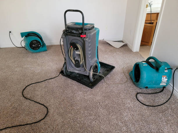 Best Ceiling water damage repair  in Parma, OH