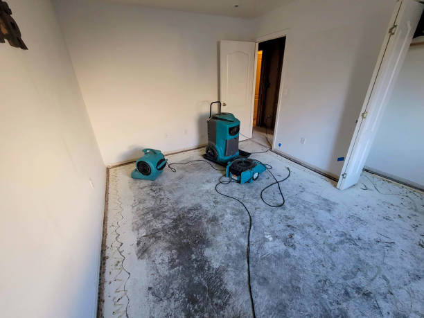 Best Professional water damage repair  in Parma, OH