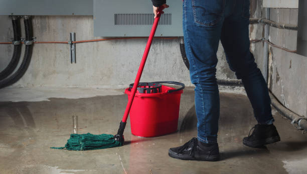 Best Basement water damage restoration  in Parma, OH
