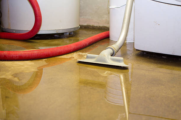Best Basement water damage restoration  in Parma, OH
