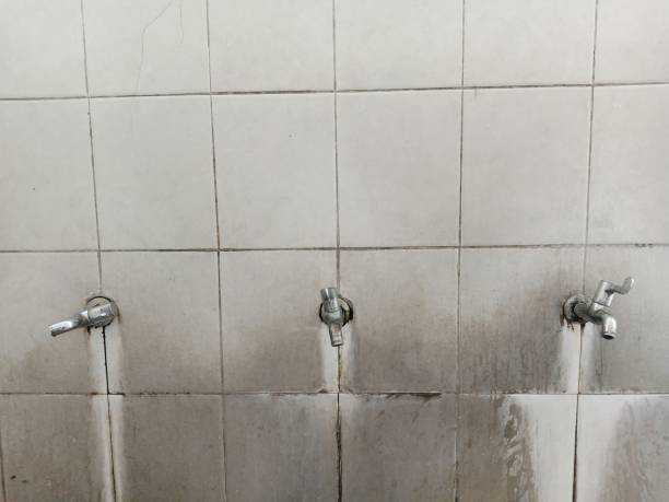 Best Flood damage cleanup  in Parma, OH