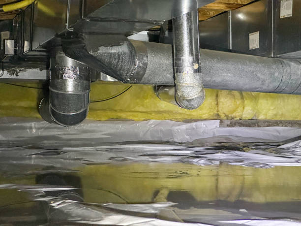 Best Flood restoration services  in Parma, OH