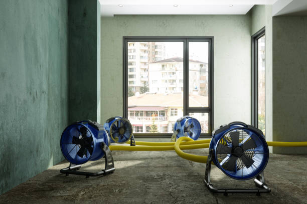 Water damage restoration process in Parma, OH