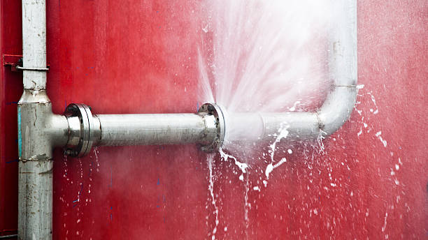 Best Water damage restoration specialists  in Parma, OH