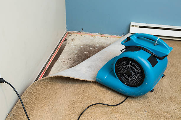 Best Emergency water damage restoration  in Parma, OH